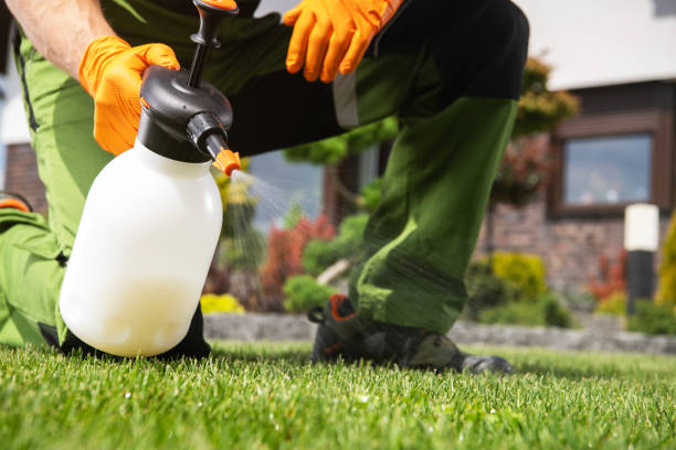 Best Best Pest Control Companies  in Jenks, OK