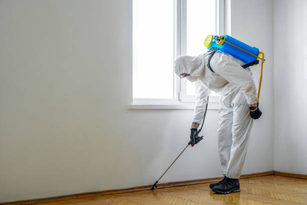 Best Ant Control Services  in Jenks, OK