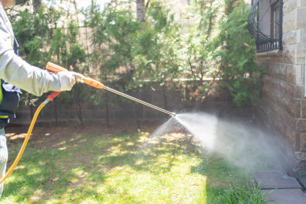 Best Local Pest Control Services  in Jenks, OK