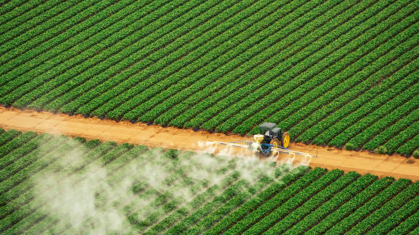 Best Pest Control for Businesses  in Jenks, OK