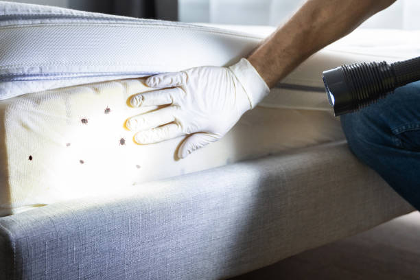 Best Affordable Pest Control Services  in Jenks, OK