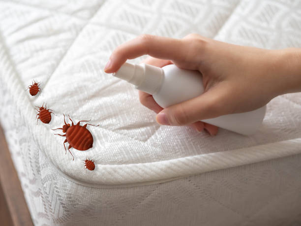 Best Bed Bug Extermination  in Jenks, OK