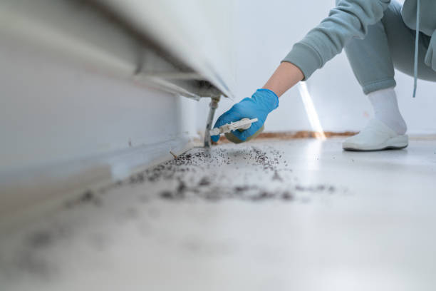 Best Flea Control Services  in Jenks, OK